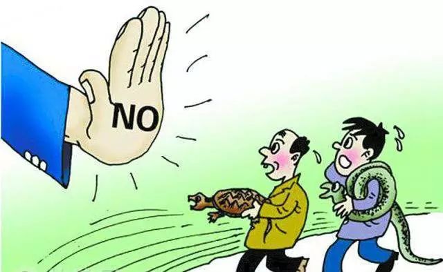 1581047231377922.jpg 1581047231377922.jpg